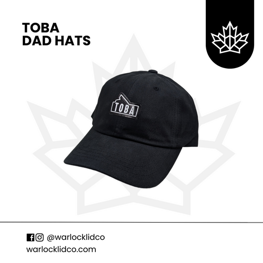 Lids 2024 dad hats