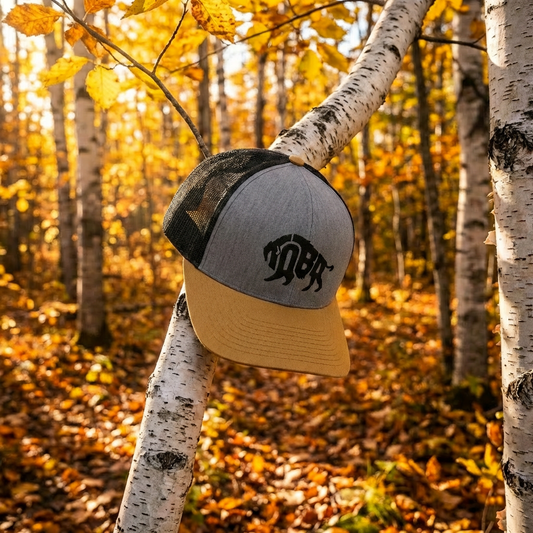 Toba Bison Snapback Hats